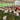 Whole Pasture Raised Turkey (PRE-ORDER)