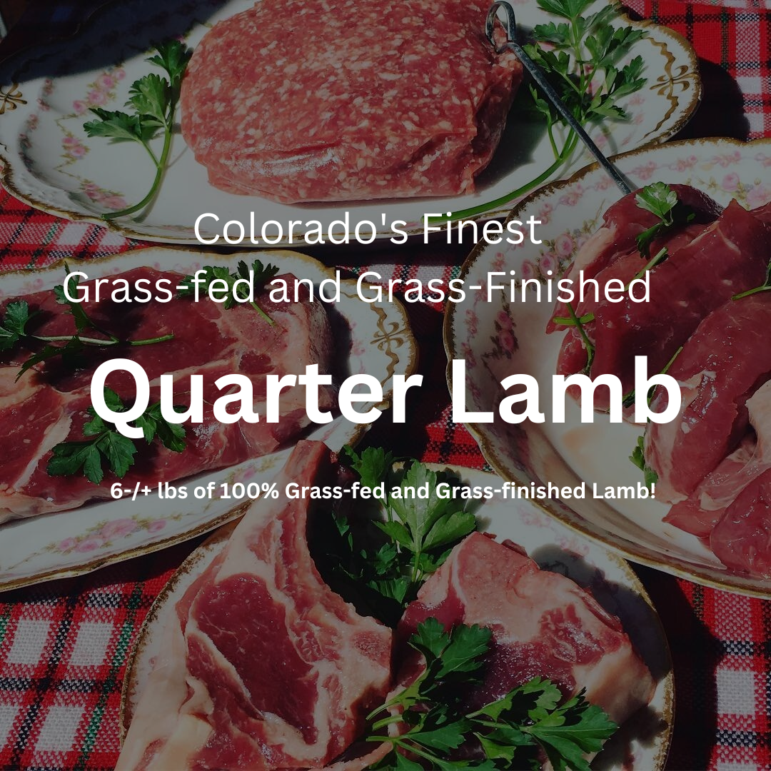 Quarter Lamb (Pay In Full)