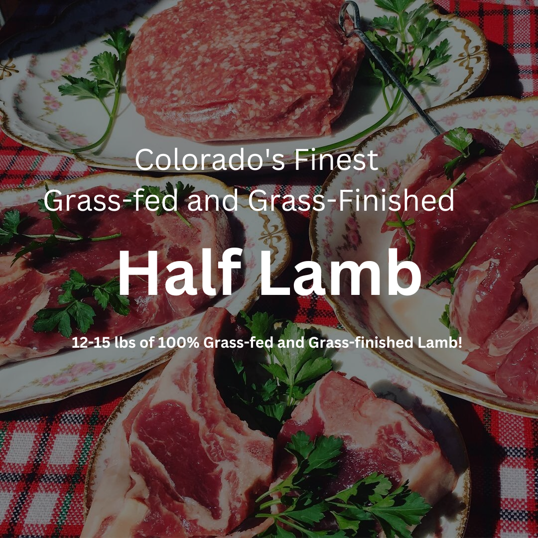 Half Lamb