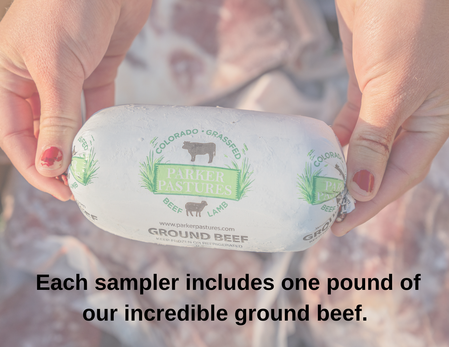 
                  
                    FREE Beef Sampler (just pay for processing and shipping)
                  
                