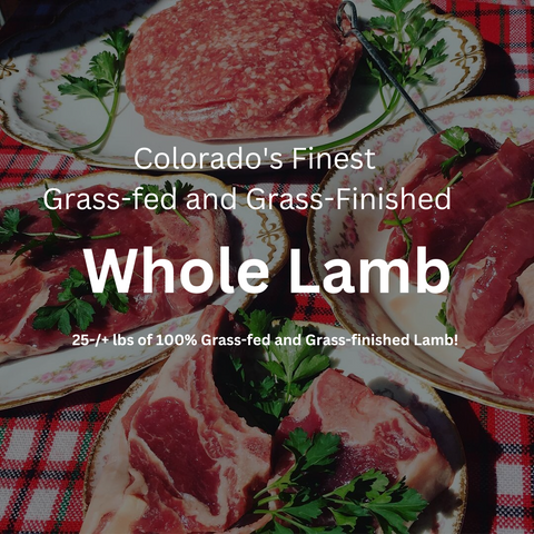 Whole Lamb