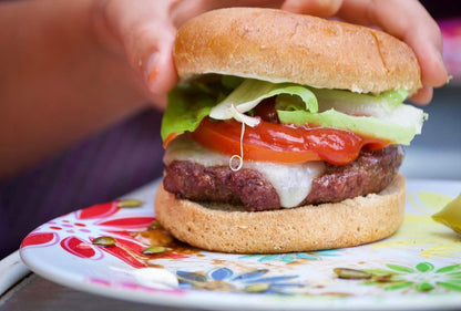 Bison Burger Patties