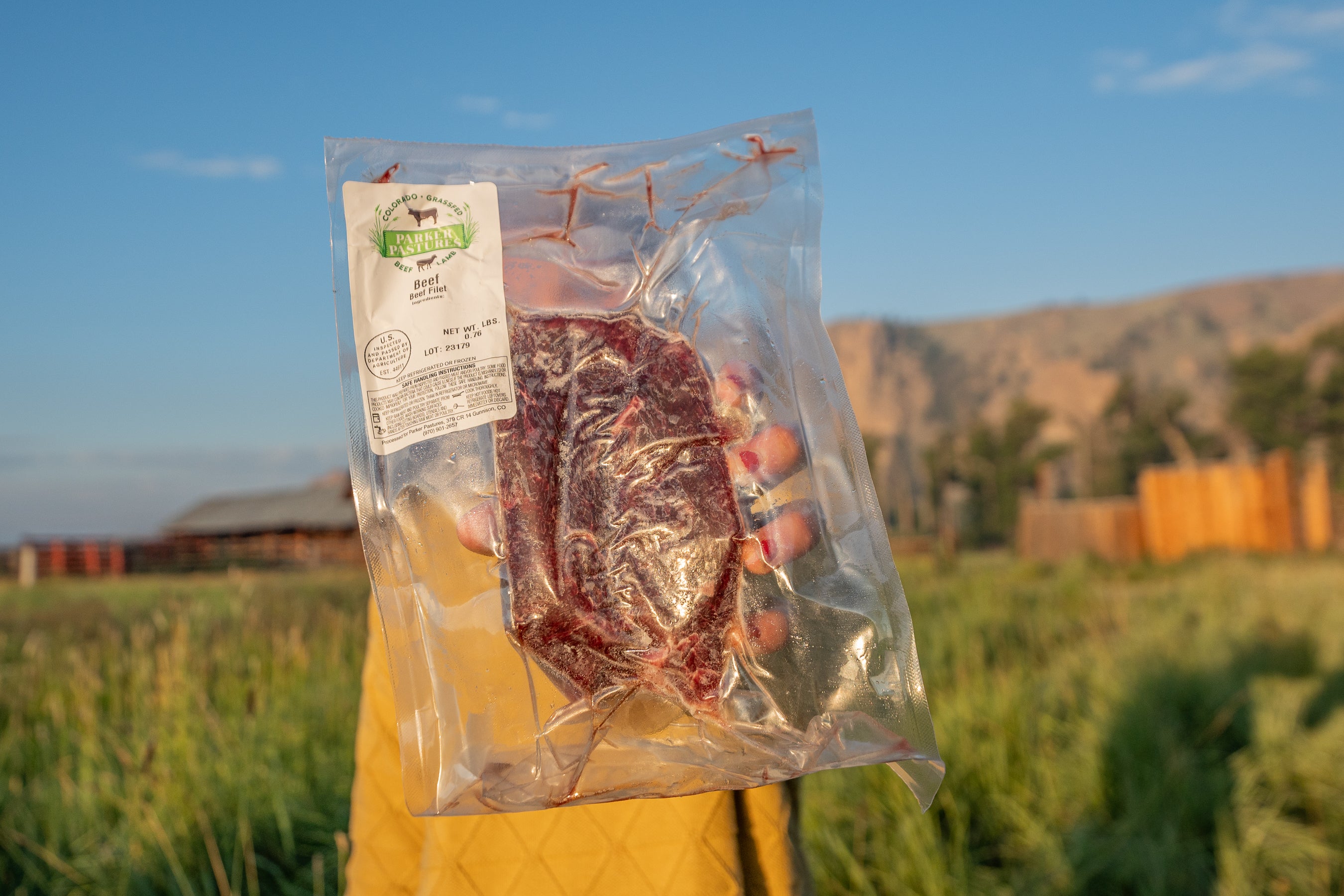 Grass-fed Beef Filet Mignon (2 per pack)