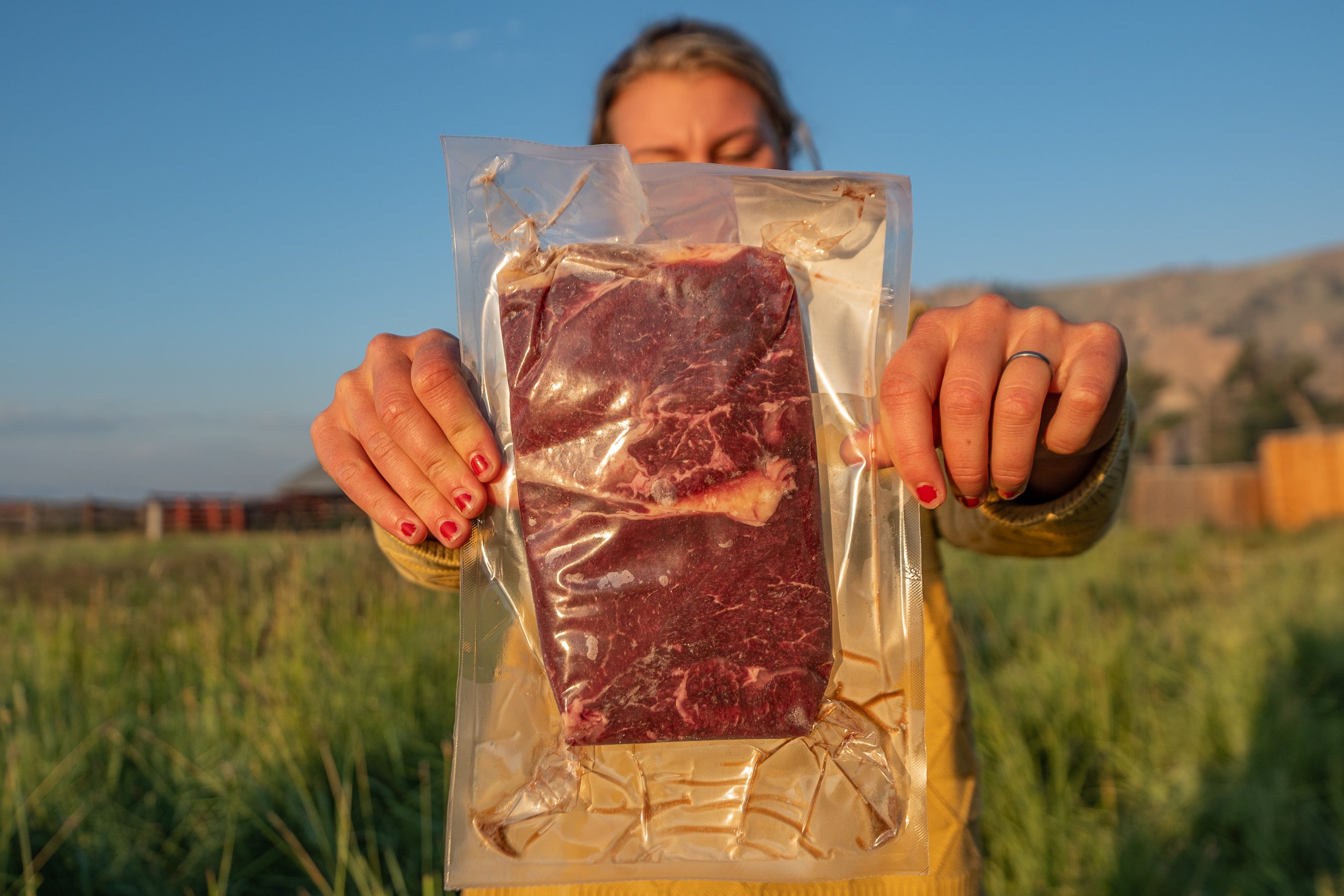 Grass-fed Top Sirloin Steaks (2 per pack)