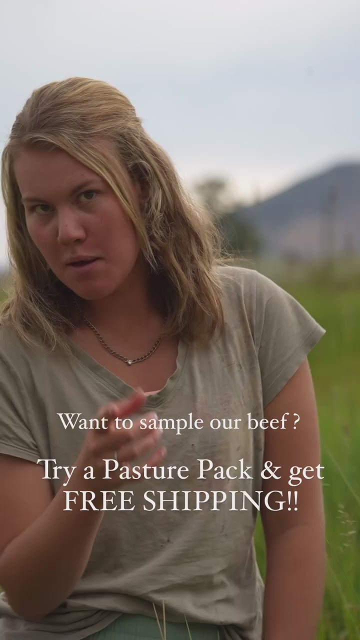 "Pasture Pack" Variety Beef Box with FREE SHIPPING (code "BEEF")