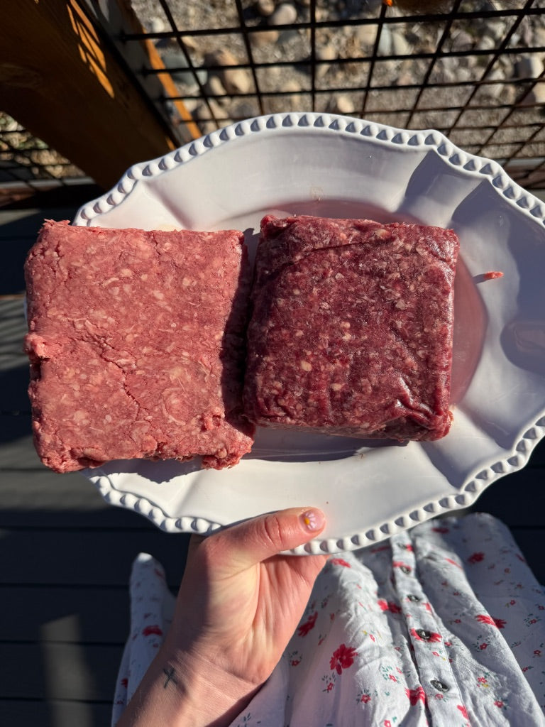 Conventional vs Parker Pastures ground beef comparison