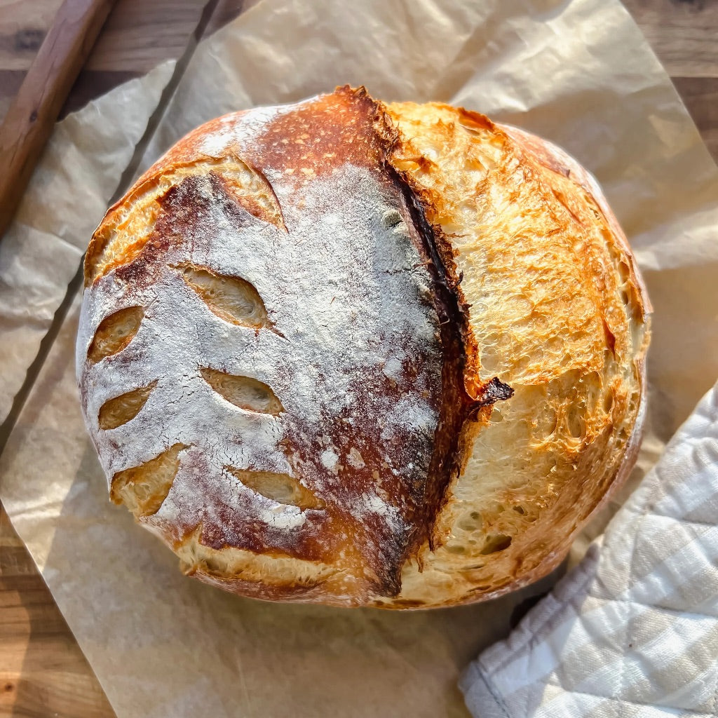 Sourdough starter kit — jar, printed guide, and hand-sewn cover
